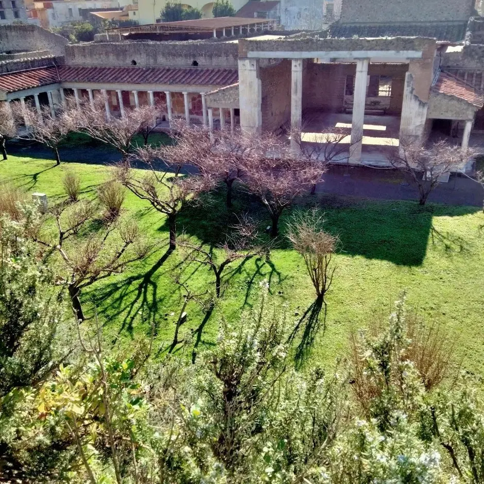 Oplontis, Stabiae & Boscoreale-8